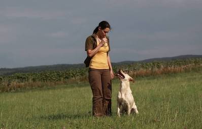 Hundepfeife: sinnvoll oder überflüssig?