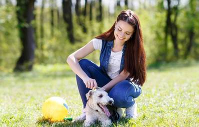 Hundesitter: den Liebling in guten Händen wissen