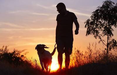 Hundewandern auf Mallorca
