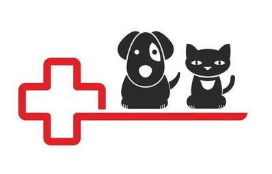 Magendrehung bei Hunden