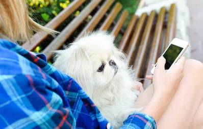 Must-have Apps für Hundehalter