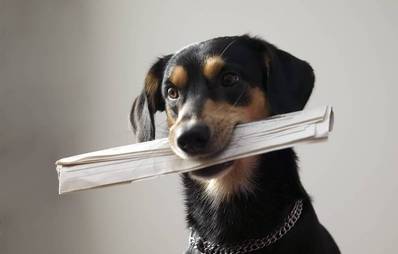 Nachrichten aus der Tierwelt