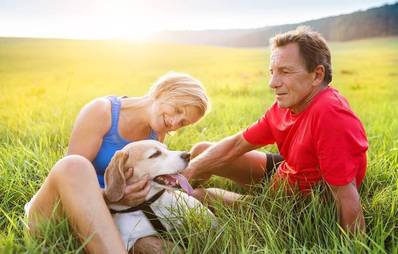 Partner oder Vierbeiner?