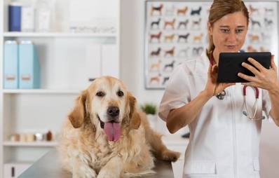 Pfote drauf - Wir spenden Blut!