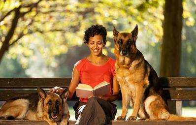 Pro & Contra: Deutschlandweite Pflicht zum Hundeführerschein