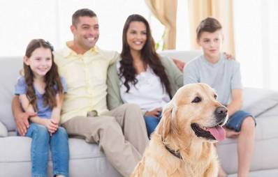 Pro & Contra: Doku-Soap Herrchentausch