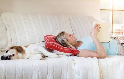 Pro & Contra: Hund auf dem Sofa und Katze im Bett?