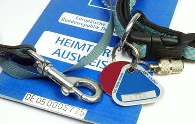 Pro & Contra: Hundesteuer -sinnvoll oder bloß Abzocke?