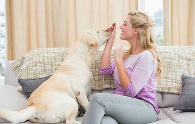 Schlechtes Wetter- eine Indoor Alternative für den Hund