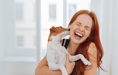 Sind Hundeküsse gefährlich