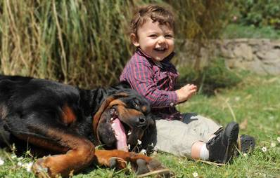 SOKA RUN e.V. Kampf um Gleichberechtigung