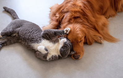 Sommer-Gewinnspiel I Newsletter