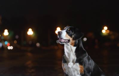 Ein Spaziergang im Dunkeln