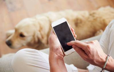 Tierische Apps für Katzen und ihre Besitzer