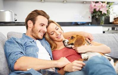 Tierischer Valentinstag