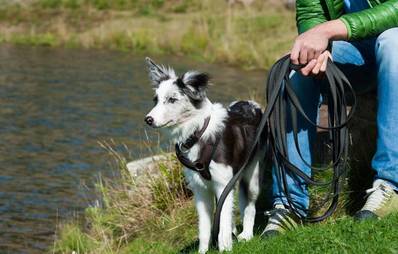 Training mit der Schleppleine