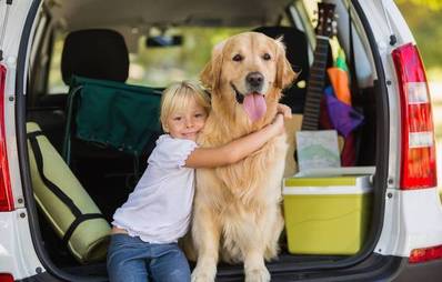 Mit Hund verreisen: Reisen mit Hund