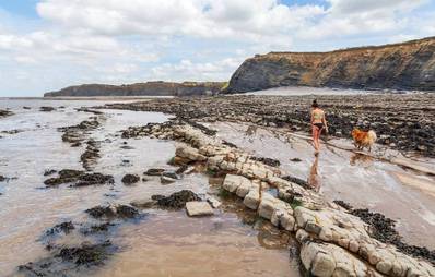 Urlaub mit Hund in England