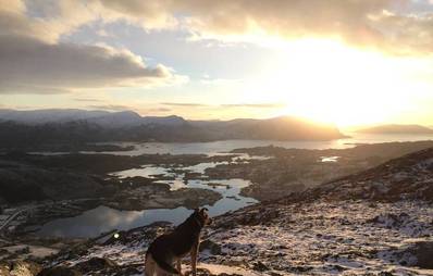 Urlaub mit Hund in Norwegen