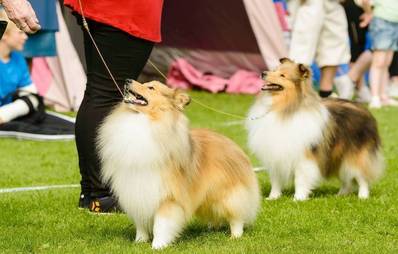 Veranstaltungen im Frühling 2013