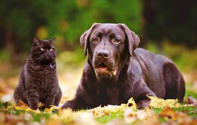 Veranstaltungen im Herbst und Winter 2012