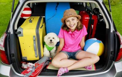 Hundekrankheiten nach dem Urlaub