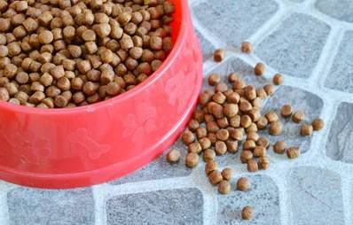 Hundefutter