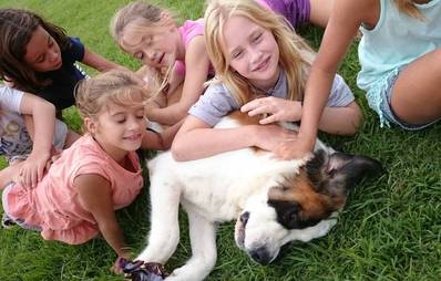 Kinderliebe Hunderassen