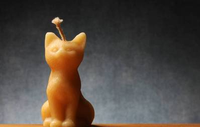 Bestattung der Vierbeiner