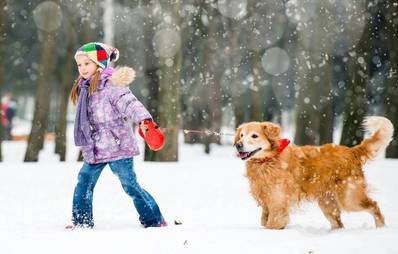 Winterliche Gefahren für Hunde