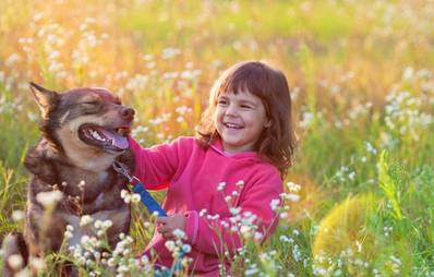 Wirkung der Hunde auf Menschen