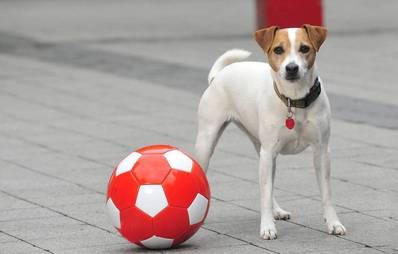 Gewinnspiel - Wo ist Oskar?