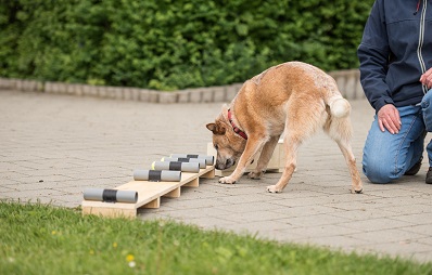 Zielobjektsuche (ZOS)