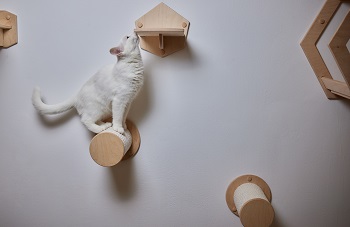 Kletterwand für Katzen