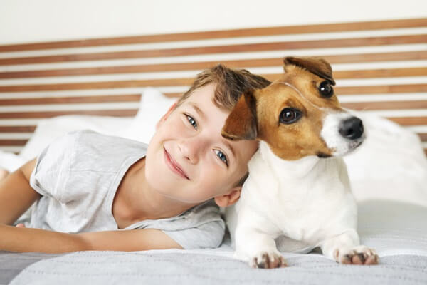 Jack Russell Terrier liegt mit einem Jungen auf dem Bett und beide gucken frech in die Kamera.