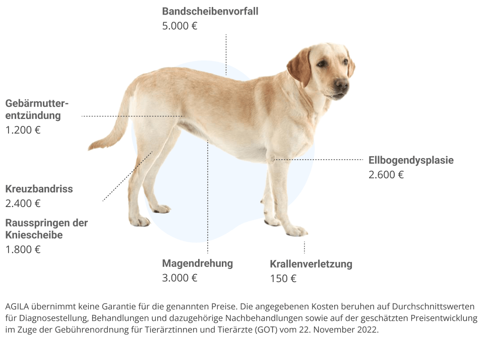 vorsorge