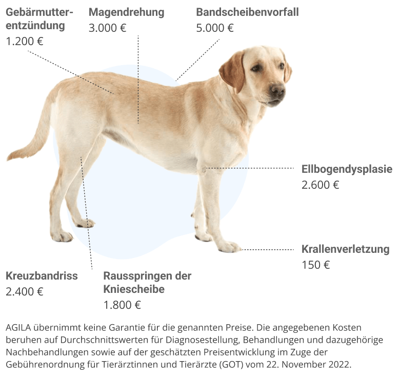 vorsorge