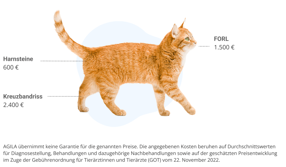 vorsorge