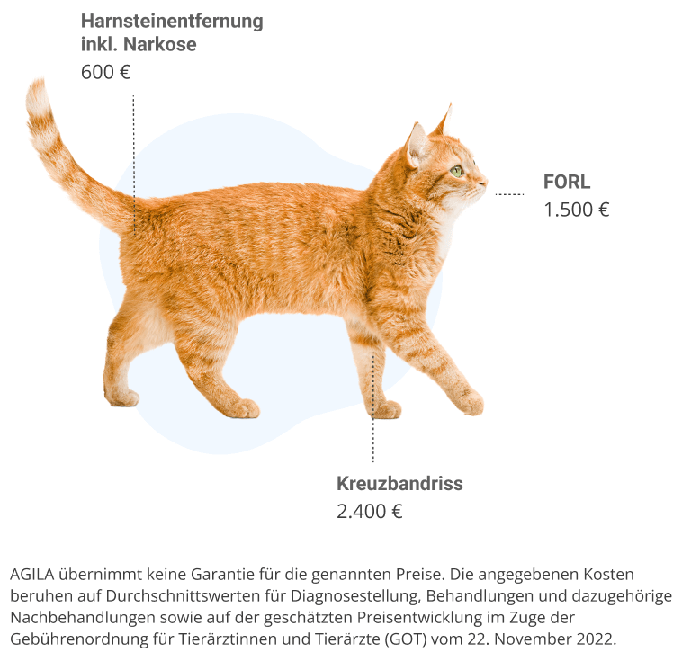 vorsorge