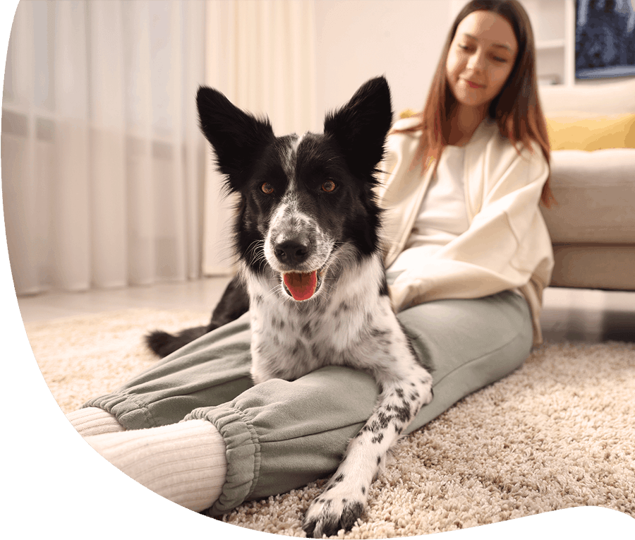 Hundeversicherung