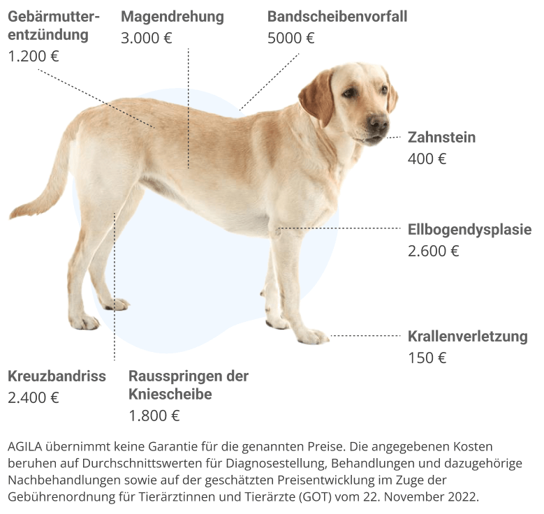 vorsorge