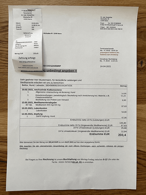 Rechnung einreichen - AGILA
